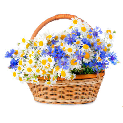 Цветы в корзине «Весенний луг»